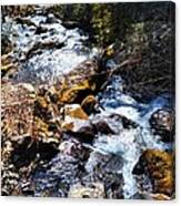 Blue Ridge Mountain Stream Canvas Print