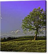 Blue Ridge Summer Canvas Print