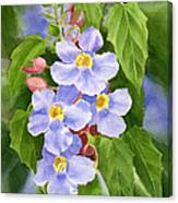 Blue Sky Vine With Background Canvas Print