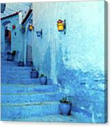 Blue Staircase & Colourful Flowerpots Canvas Print