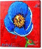 Blue Tibetan Poppy Canvas Print