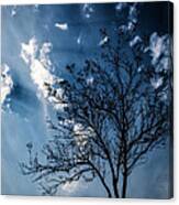 Blue Winds Canvas Print