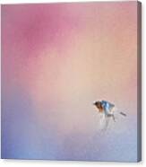 Bluebird 1 - I Wish I Could Fly Series Canvas Print