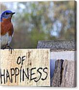 Bluebird Of Happiness Canvas Print