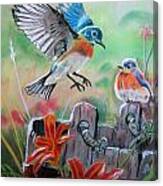 Bluebirds Bucket Canvas Print