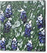 Bluebonnets Canvas Print