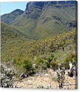 Bluff Knoll Peak - Western Australia Canvas Print