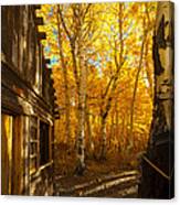 Boat House Among The Autumn Leaves Canvas Print