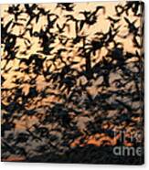 Bosque Sunrise Blastoff Canvas Print