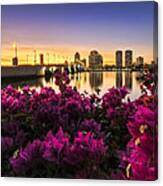 Bougainvillea On The West Palm Beach Waterway Canvas Print