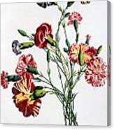 Bouquet Of Carnations Canvas Print