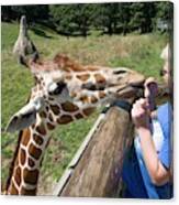 Boy Feeding Giraffe Canvas Print