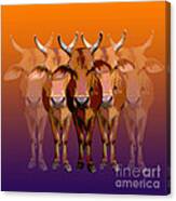 Brahman Cow Canvas Print