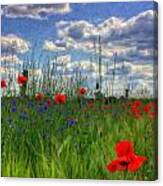 Brandenburg Poppies Ger5049 Canvas Print