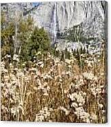 Bridalveil Falls In Autumn Canvas Print