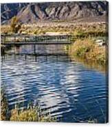 Bridge At Buckley Ponds Canvas Print