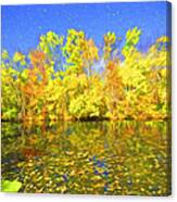 Bright Autumn Colors Canvas Print