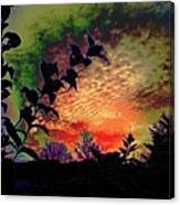 Bright Bubble Sky Silhouette Canvas Print