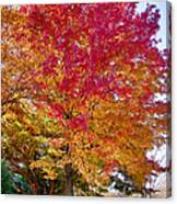 Brilliant Autumn Colors On A Marblehead Street Canvas Print