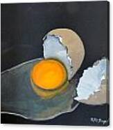 Broken Egg Canvas Print