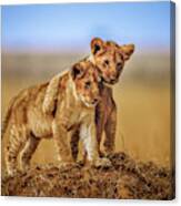 Brothers For Life Canvas Print
