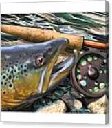Brown Trout Sunset Canvas Print