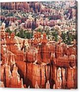 Bryce Canyon Colorful Site Canvas Print