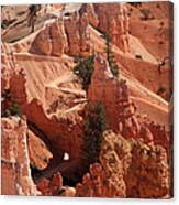 Bryce Canyon Trail - Utah Canvas Print
