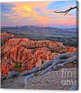 Bryce Sunset Glow Canvas Print