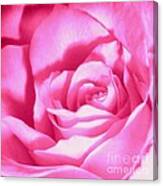 Bubble Gum Pink Rose Canvas Print