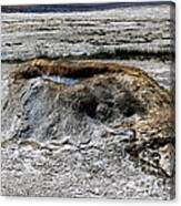 Bubbling Well. Yellowstone. Usa Canvas Print