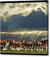 Budweiser Clydesdales Paint 1 Canvas Print