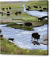 Buffalo Ford Canvas Print