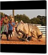 #bull #bullrider #rodeo #rodeolife Canvas Print