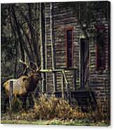 Bull Elk By The Old Boxley Mill Canvas Print