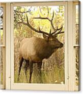 Bull Elk Window View Canvas Print
