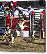 Bull Riding Canvas Print