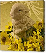 Bunny And Daisies Canvas Print