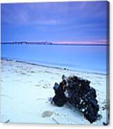 Burnt Driftwood Sunset Canvas Print