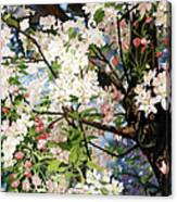 Burst Of Spring Canvas Print