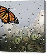 Butterflies Are Free Canvas Print