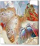 Butterflies Geometric 2 Canvas Print