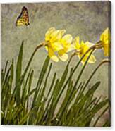 Butterfly And Daffodils Canvas Print