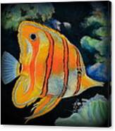 Butterfly Fish Canvas Print