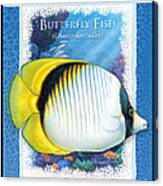 Butterfly Fish Canvas Print