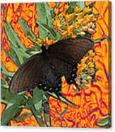 Butterfly Garden 25 - Spicebush Swallowtail Canvas Print