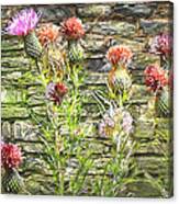 Butterfly Garden Canvas Print