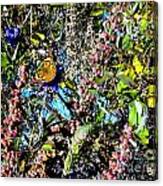 Butterfly In Butterfly Bush Canvas Print