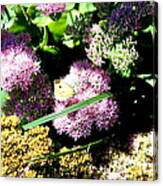 Butterfly On Flower Canvas Print