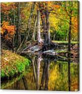 Butternut Creek In Fall Canvas Print